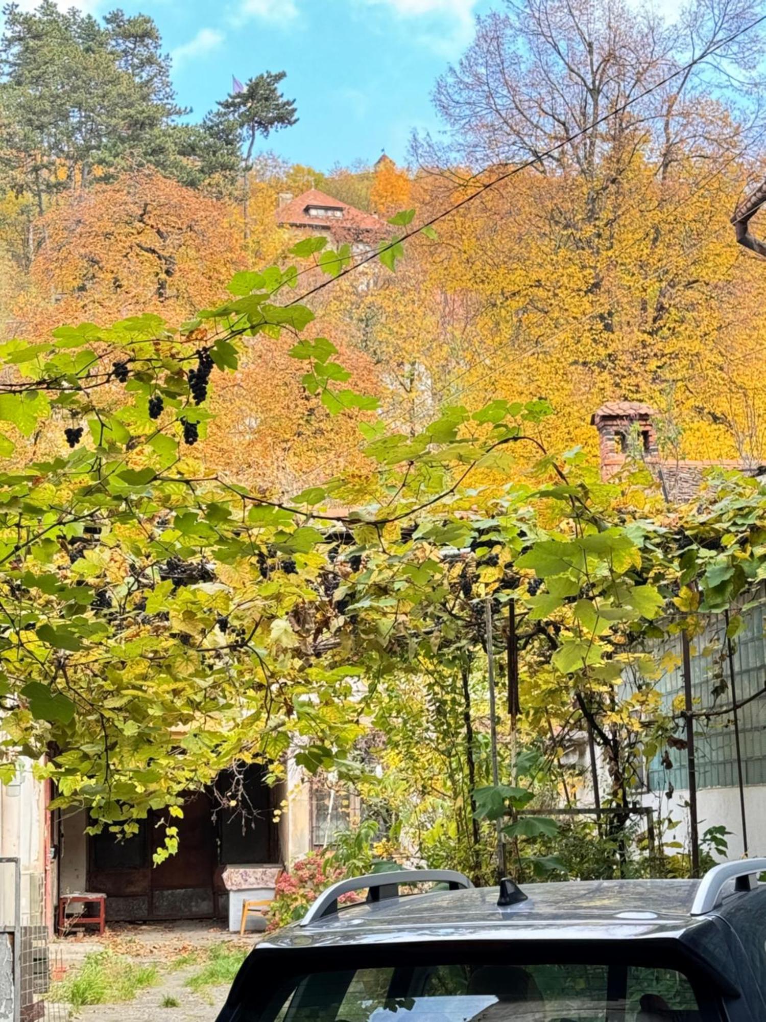 Casa Ming Villa Brasov Exterior photo